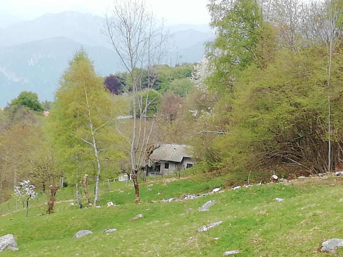 Chalet Tessa Bellagio Kültér fotó
